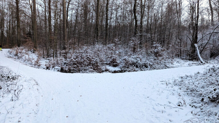Ein verschneiter Waldweg. Weiter vorn gabelt er sich. Auf dem Weg nach links ist am Bildrand gerade noch ein Kind in einem Schneeanzug mit einem Schlitten zu sehen.